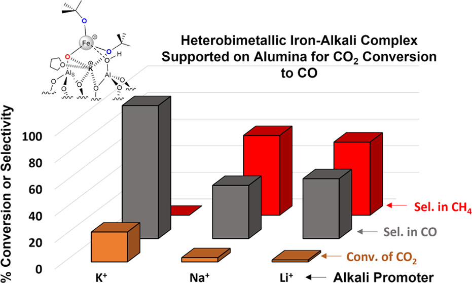 selective cat reduction 2024