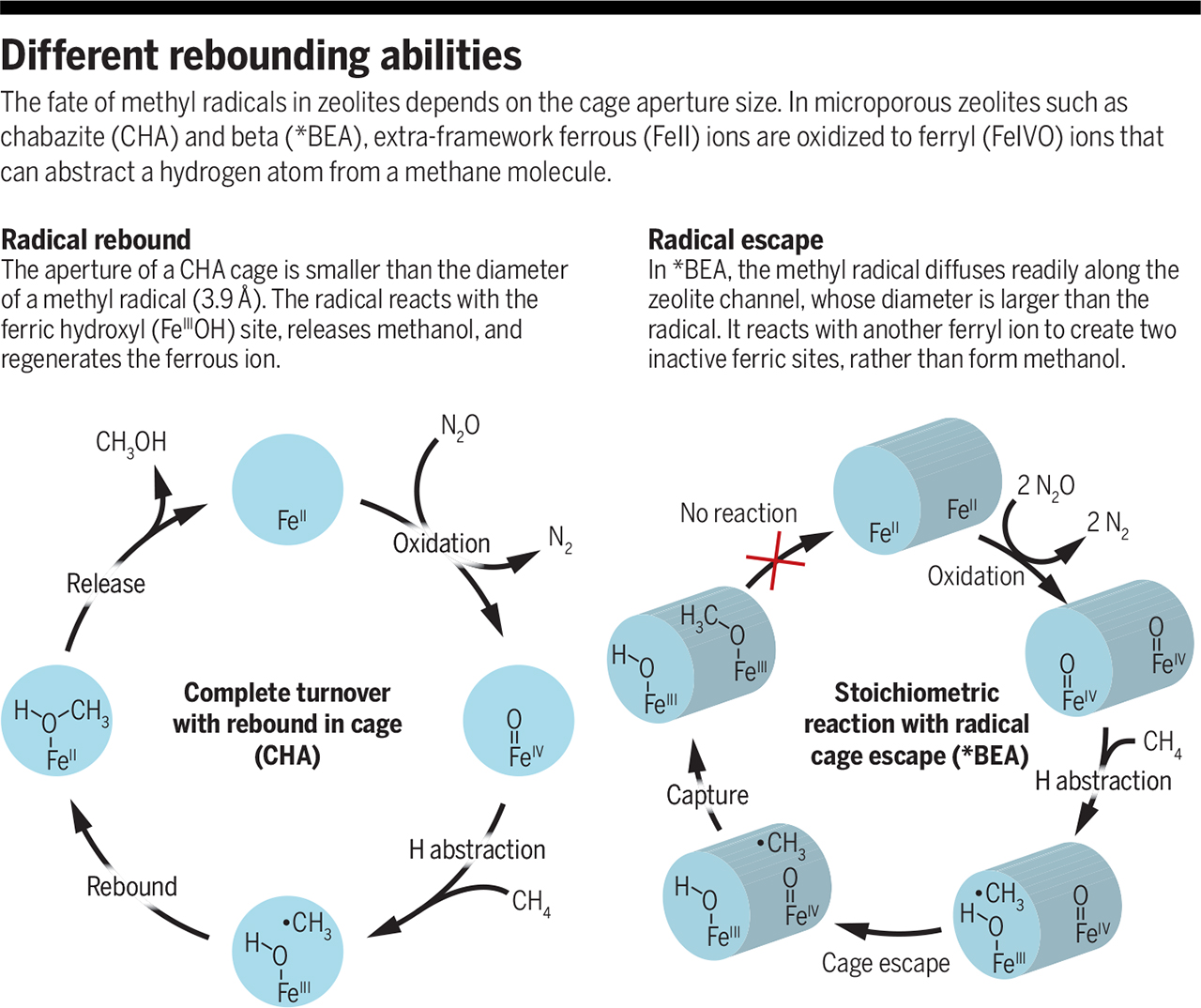 Image from Science Article