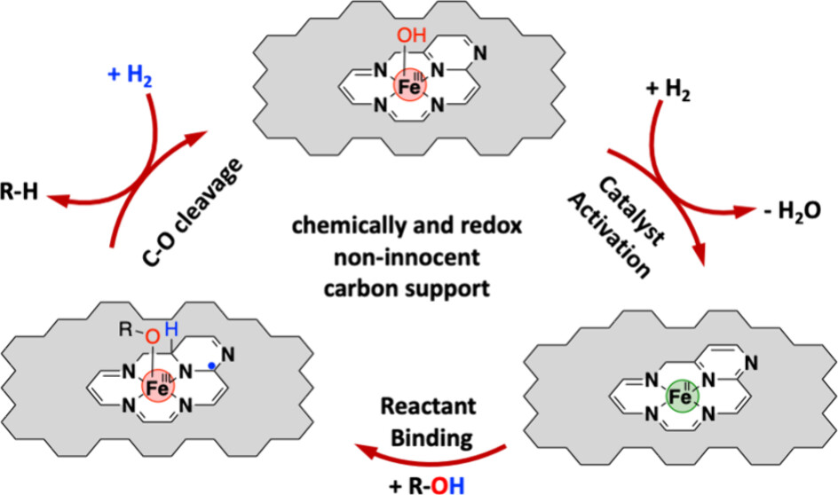 jacs cat hydrogenolysis